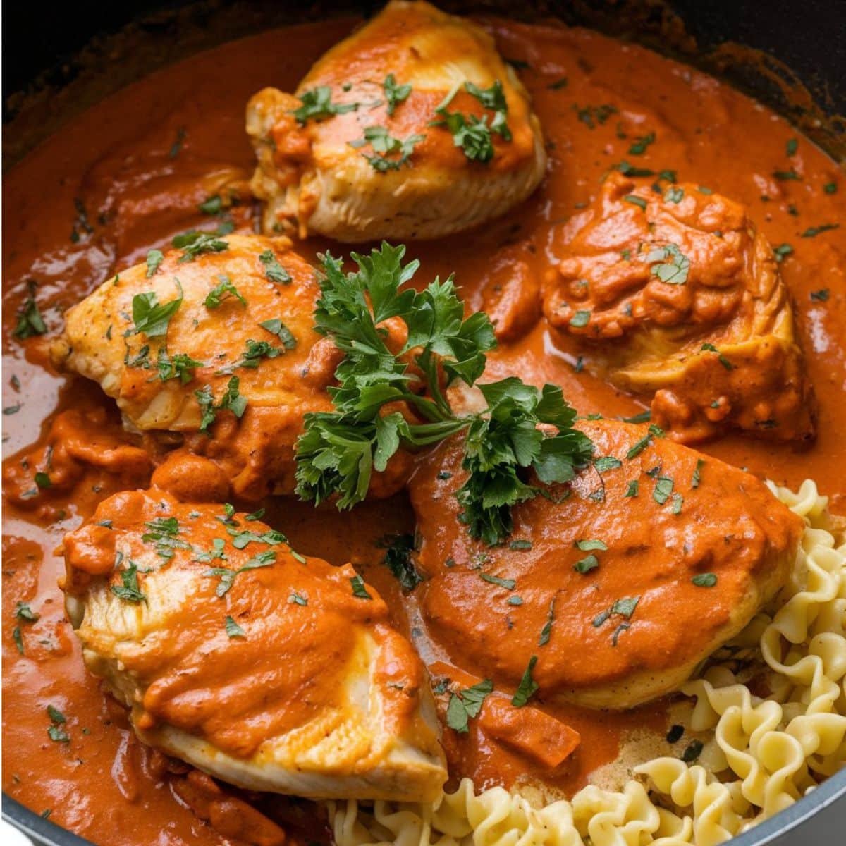 Chicken Paprikash Recipe 