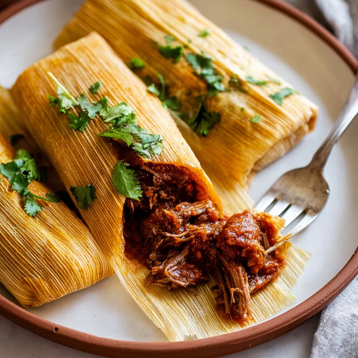 Authentic Mexican Tamales Recipe ready to be served, showcasing the pulled pork filling with sauce.